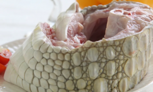 鳄鱼病毒肠胃炎是什么症状