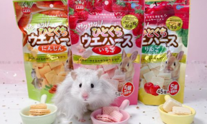 日本马卡宠物零食如何