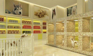北京宠物店加盟大概要多少钱