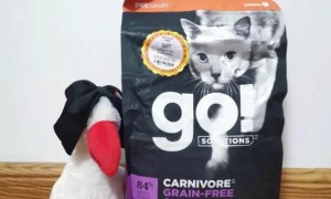 go猫粮国际版有什么区别