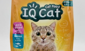 iq cat 猫粮怎么样