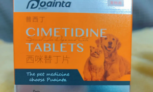 普西丁宠物药多少钱一盒