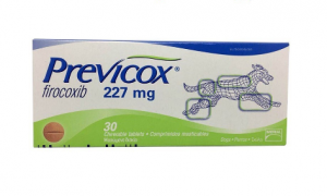 previcox宠物止疼药在哪买