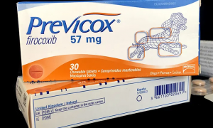 previcox是什么药