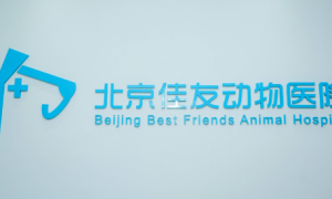 北京宠物医院哪家靠谱