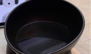 黑碗里面的水猫能看清吗