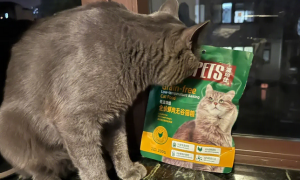 猫粮诱食剂有哪些
