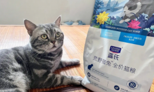 蓝氏猫粮多少钱一斤