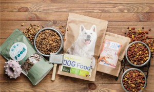 如何自制健康的狗粮给狗吃呢