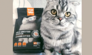 toptrees猫粮营养成分怎么样
