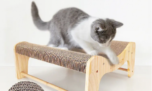 猫喜欢什么形状的猫抓板