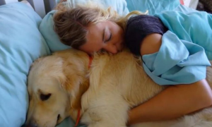 为什么抱着狗狗睡觉很舒服
