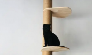 怎么做猫咪空中爬架