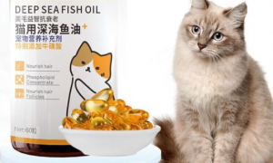 便宜优质的宠物鱼油
