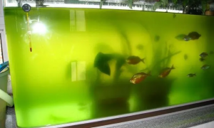 鱼缸的水变绿色了怎么处理