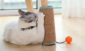 猫抓板怎么安装