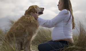 为什么孕妇不能养狗狗