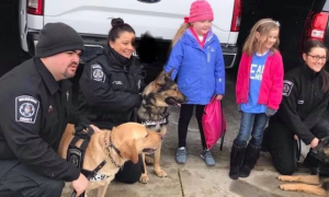 7岁小女孩患重病危在旦夕，暖心警察叔叔带40只警犬为他送惊喜