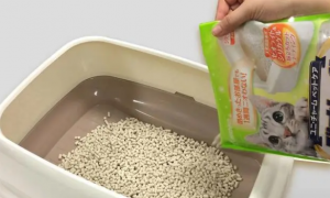 猫砂怎么使用比较好