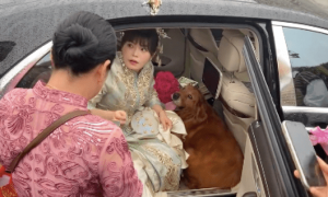 新娘坐上接亲的车，没想到狗狗跟着她跳上车，几个人都拉不下来！