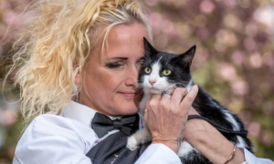 为了应对房东的驱逐 英国一位女子“嫁”给了她的宠物猫