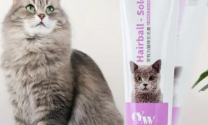 猫咪营养膏哪个品牌好