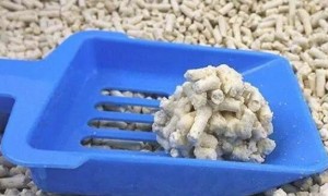 便宜好用的膨润土猫砂