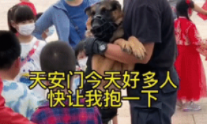 警犬执勤被围观，结果社恐发作抱紧训导员：人好多，要抱抱