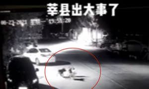 山东莘县一小孩被两只狗撕咬，当地警方回应：已控制相关人员