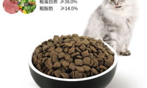 多少钱一斤的猫粮好
