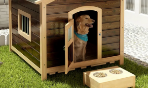 狗窝木头房子制作方法