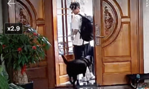男生开学要走了，狗狗站在门口望着