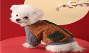 泰迪狗狗衣服编织