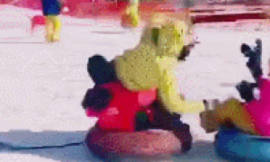 哈士奇当雪橇拉主人，一时兴奋过头，直接撞倒一人！