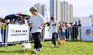 首届中国大学生宠物世界运动会暨宠爱王国第五届嗷呜狂欢节即将开始啦！