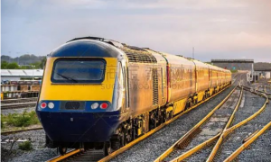 巨龟“卧轨”导致英格兰火车停运，乘客：它还活着，但受伤了！！！