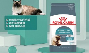 皇家猫粮是国产品牌还是进口