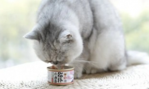 猫罐头人能吃吗