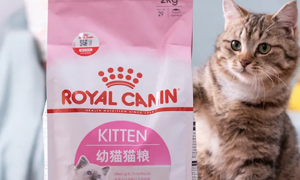 10大猫粮品牌排行