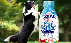 真致宠物牛奶人可以喝吗
