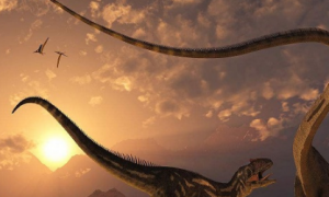它是白垩纪时期体型最大的恐龙，也是霸王龙最大的天敌