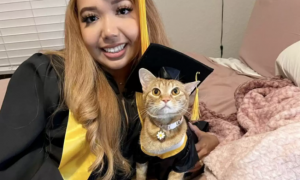 主人在毕业典礼前给猫咪也穿上学士服，和它一起迎接这重要的时刻