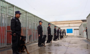 “犬”力以赴，拜城公安组织开展警犬大练兵