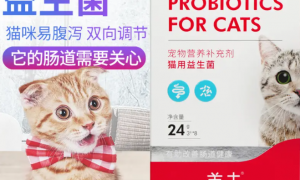 盖夫益生菌猫可以吃吗