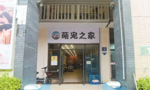 广州一宠物店“连环”售卖病宠，吸金套路层层递进
