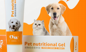 狗的营养膏猫可以吃吗