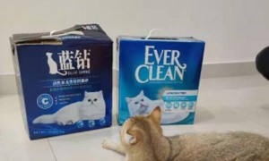 everclean蓝钻猫砂闲鱼上是真的吗