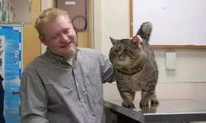 猫咪意外走失半年，重逢时铲屎官当场傻眼...怎么胖了这么多？！