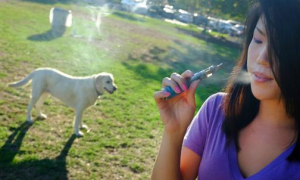 烟草对狗狗伤害比人大，患癌风险会增加，为了你和狗狗健康请戒烟
