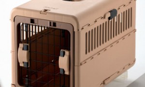 航空公司对宠物航空箱的要求